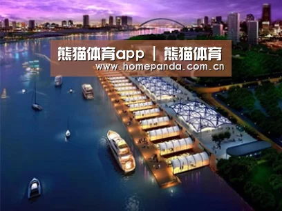 案例展示八