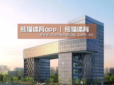 案例展示四