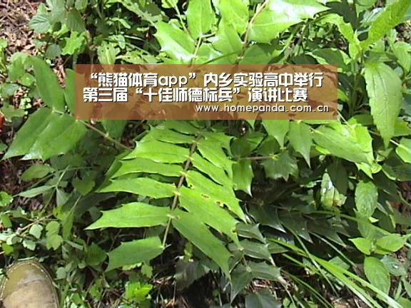 “熊猫体育app”内乡实验高中举行第三届“十佳师德标兵”演讲比赛(图4) 实时比分