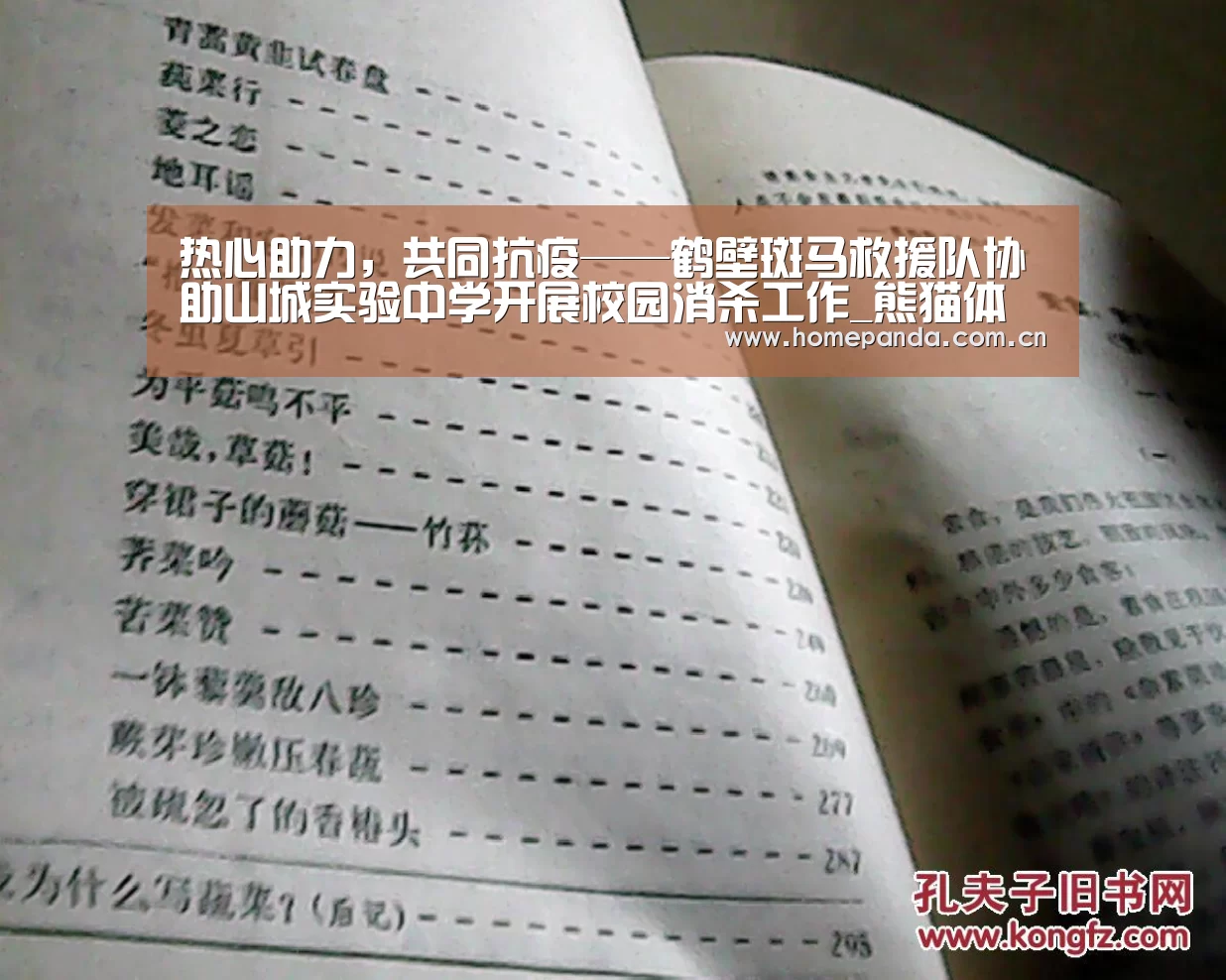 热心助力,共同抗疫——鹤壁斑马救援队协助山城实验中学开展校园消杀工作_熊猫体育(图2) 熊猫APP