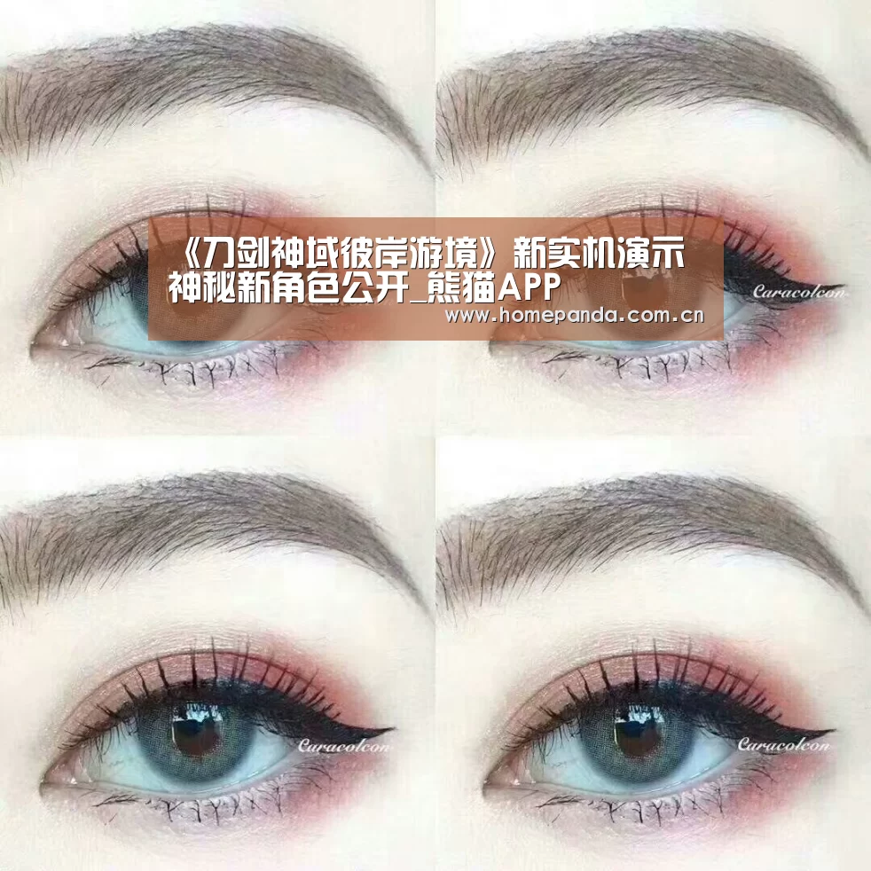 《刀剑神域彼岸游境》新实机演示 神秘新角色公开_熊猫APP(图4) 熊猫体育app