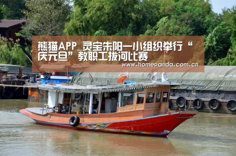 熊猫APP_灵宝朱阳一小组织举行“庆元旦”教职工拔河比赛(图1) 熊猫体育app